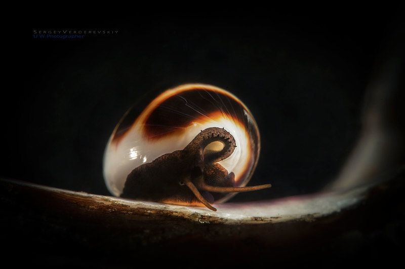 Жизнь в тенях.photo preview