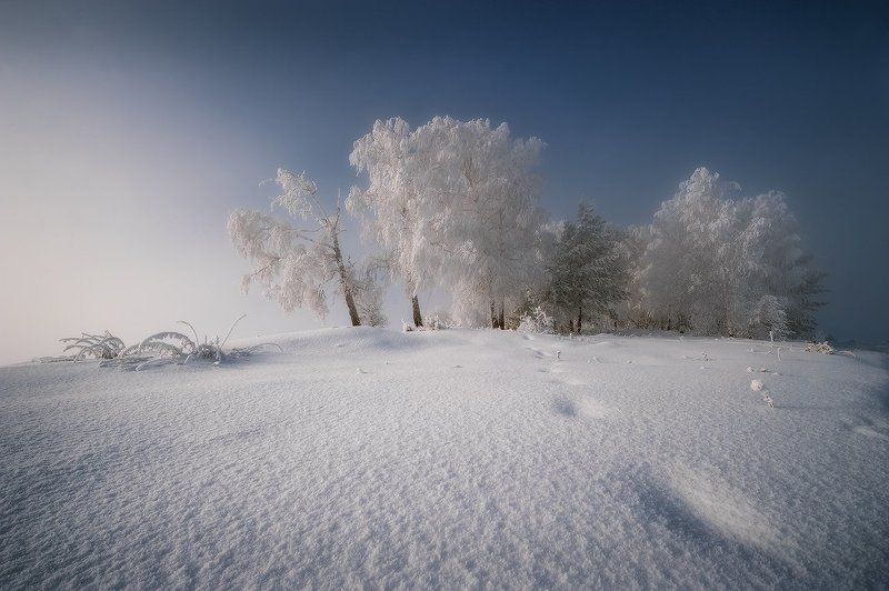 Декабрьским днём...photo preview