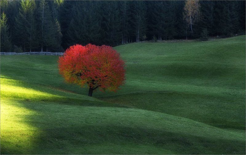 Контрасты.......photo preview