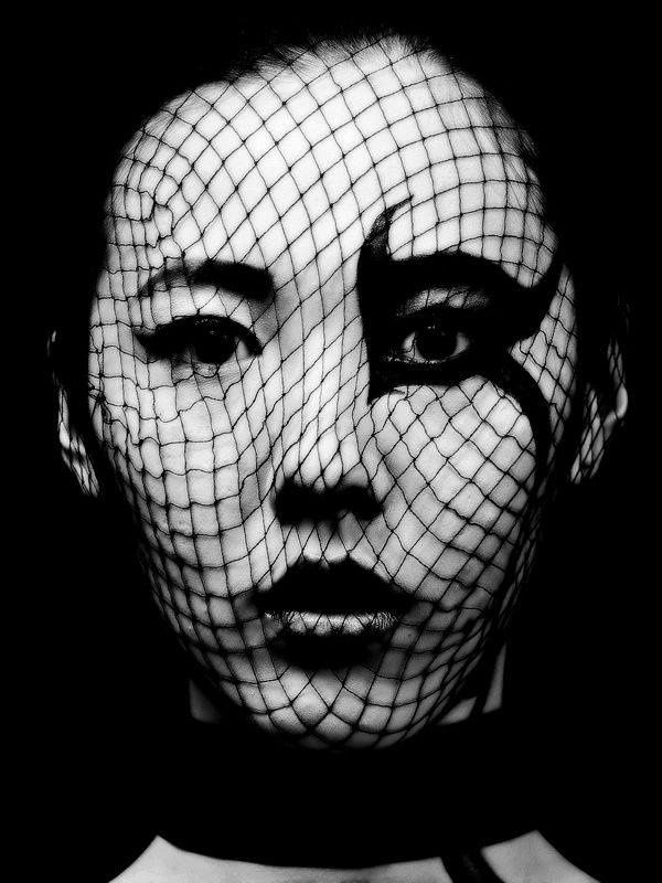 фотограф, дмитрий, оболенский White Rosephoto preview