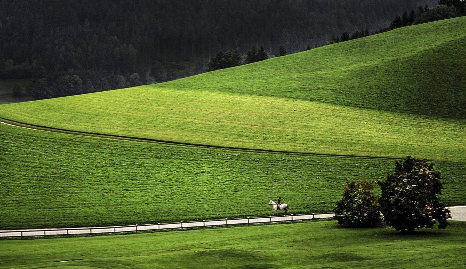 Альпы, Горы, Поля, Природа, Прогулка на лошади, Svetlana Tkachenko