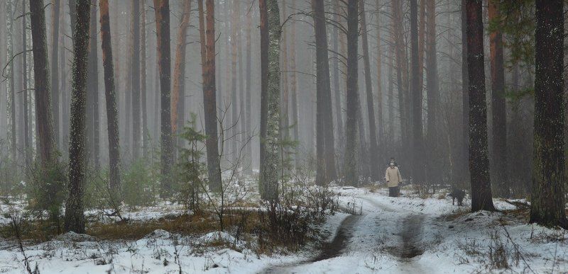 Вечерний моционphoto preview
