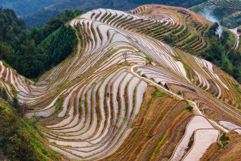 китай Рисовые террасы Драконьего Хребтаphoto preview