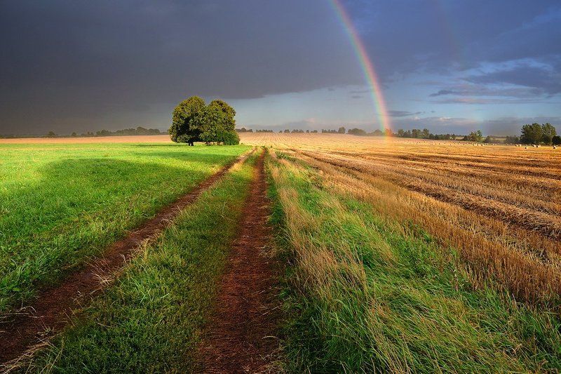 После штормаphoto preview