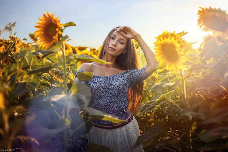 Beauty, Girl, Sky, Summer, SunFlowers, Sunset Summer Memoriesphoto preview