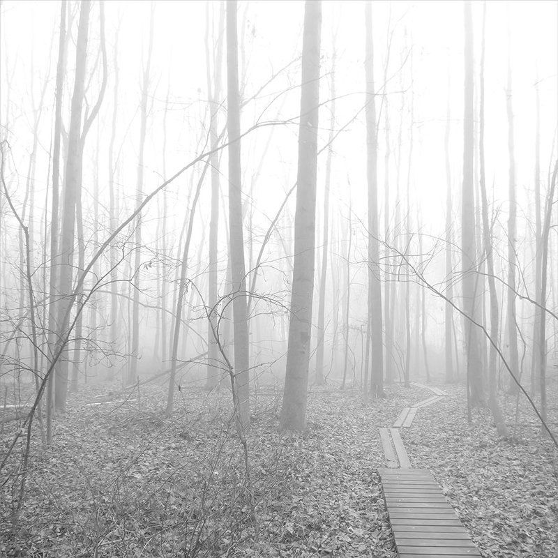 тихая печальphoto preview