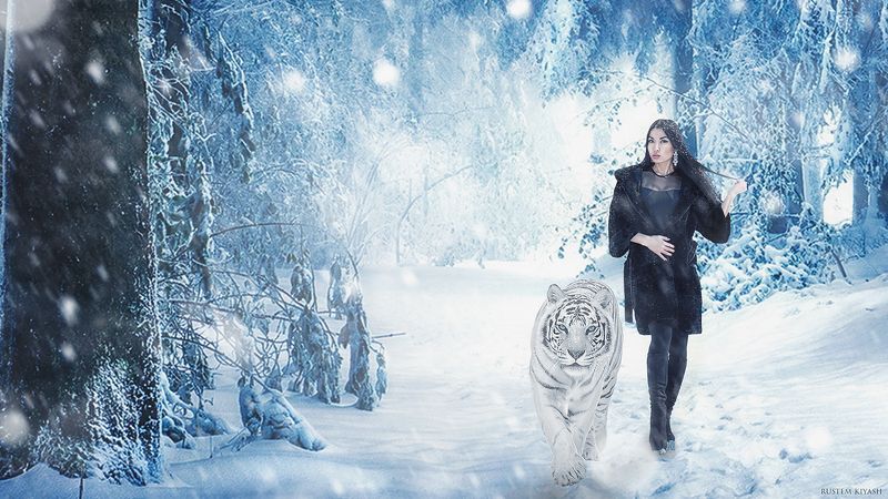 Девушка, Зима, Лес, Снег, Тигр Прогулкаphoto preview
