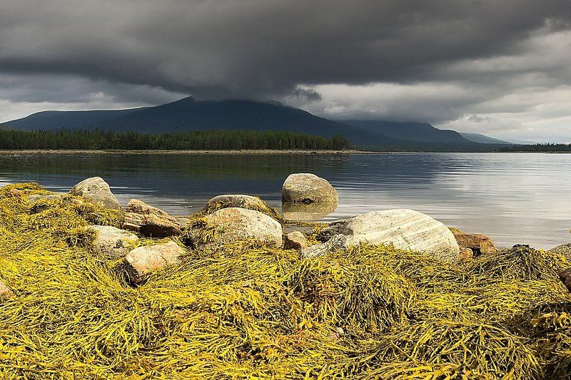 белое море, север, кольский, небо, камни, отлив Северное небоphoto preview
