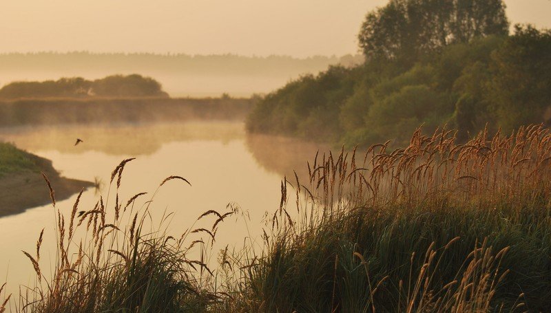 Sypchenko lydmila, Belarus