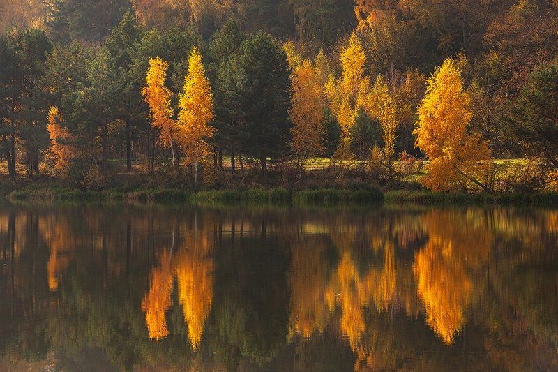 Дозволь наглядеться...photo preview