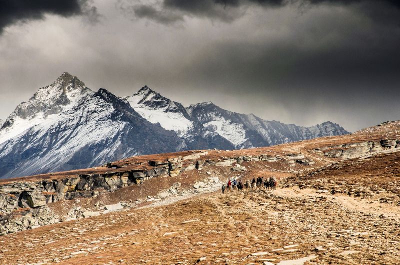 всадники на перевалеphoto preview