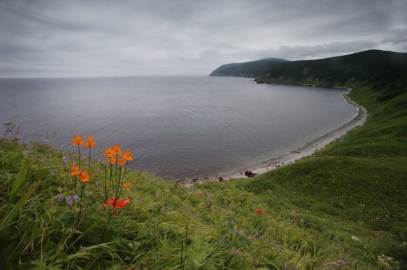 татарский пролив, дальний восток Бухта Базарнаяphoto preview