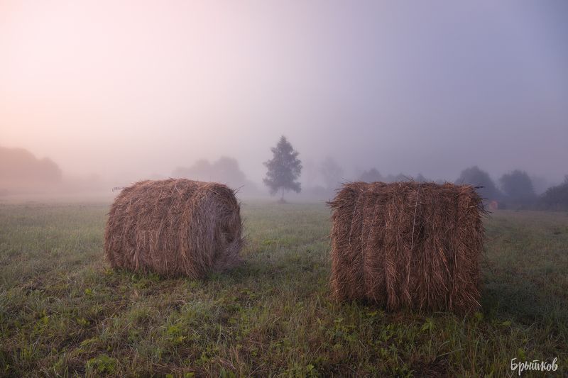 Катушки сена.photo preview