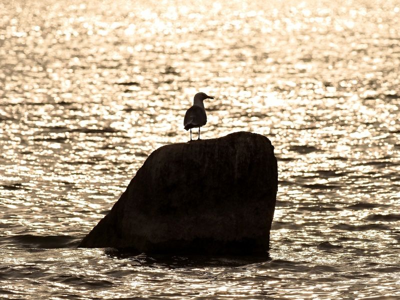 Рассвет на Шарташеphoto preview