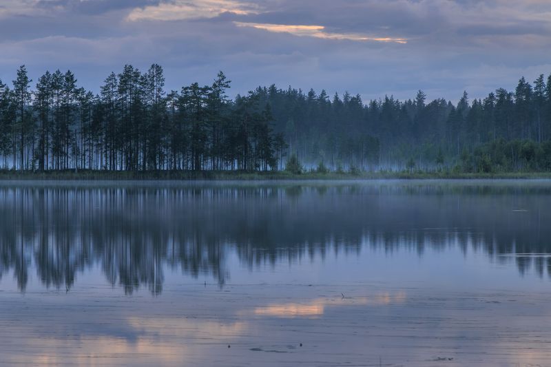 закат, озеро, туман, отражение, облака, лес Прозрачный вечерphoto preview