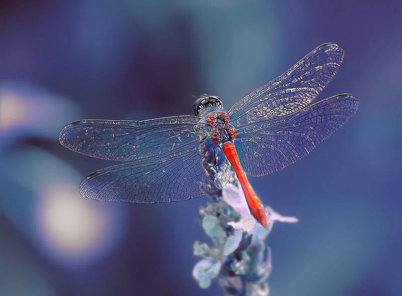 Затерянный мир 2photo preview