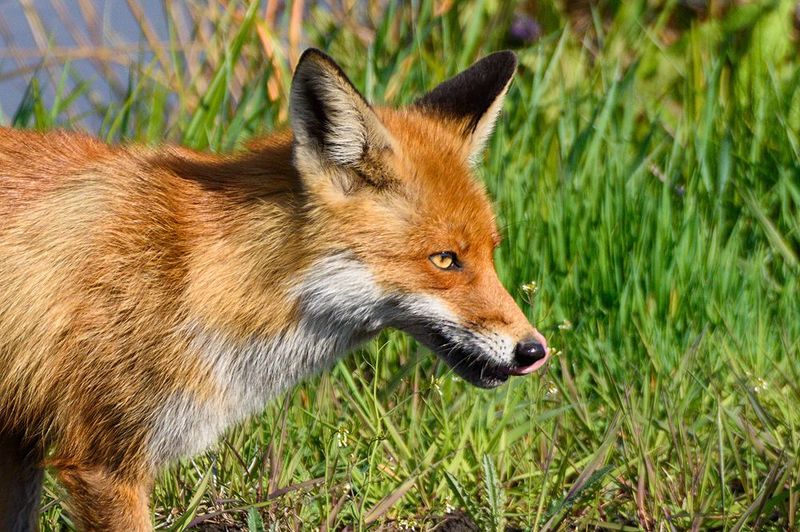 Удачная попыткаphoto preview