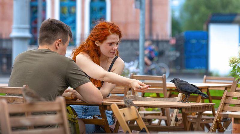 Златоглавка и ворона.photo preview