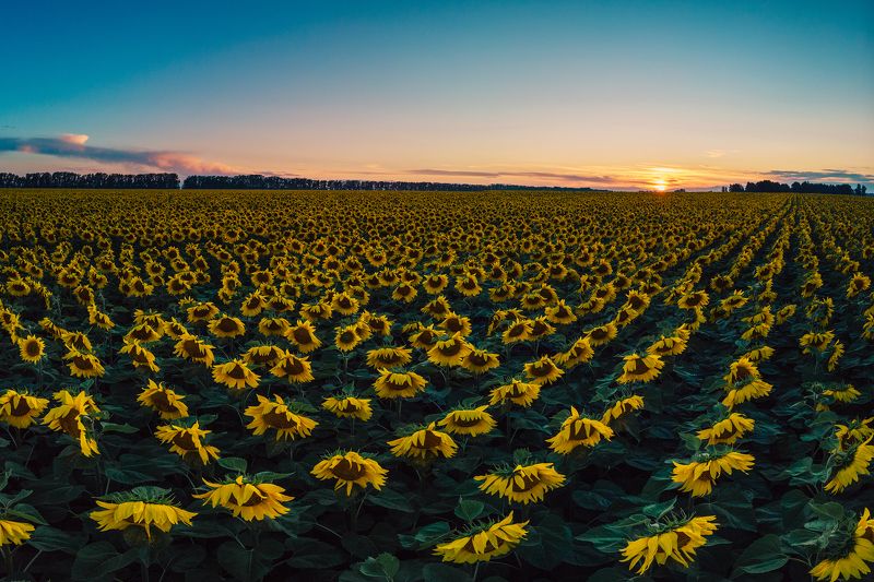 Августphoto preview