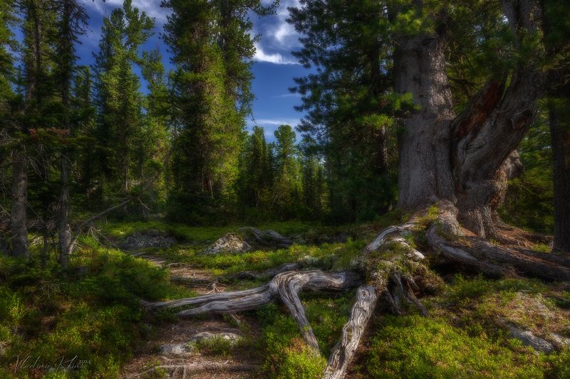 *** фото превью