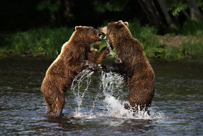 Выяснение отношенийphoto preview