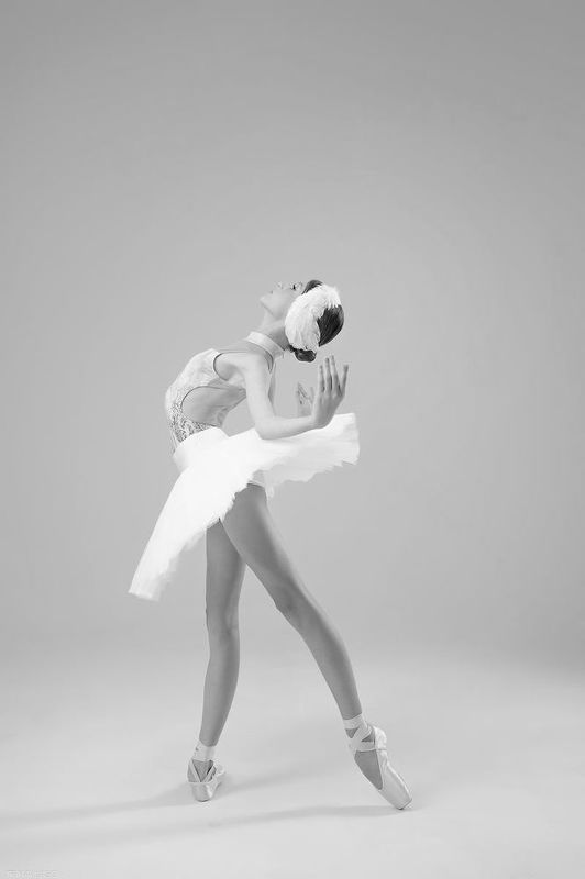балетная фотосессия БАЛЕТphoto preview