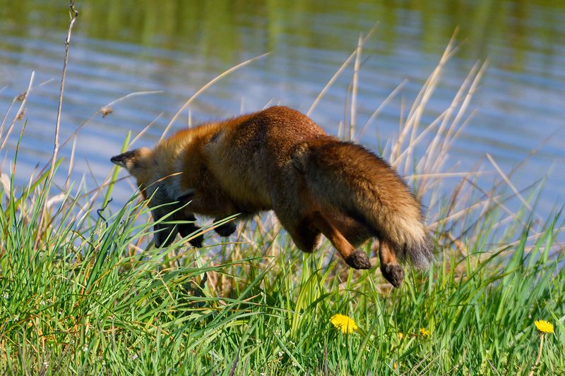 Купаться будетphoto preview