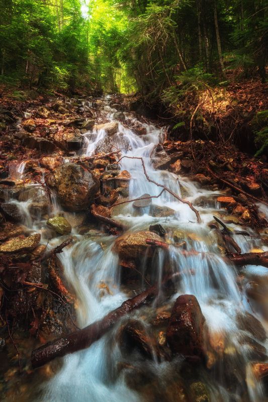 ручей, камни, горы  фото превью