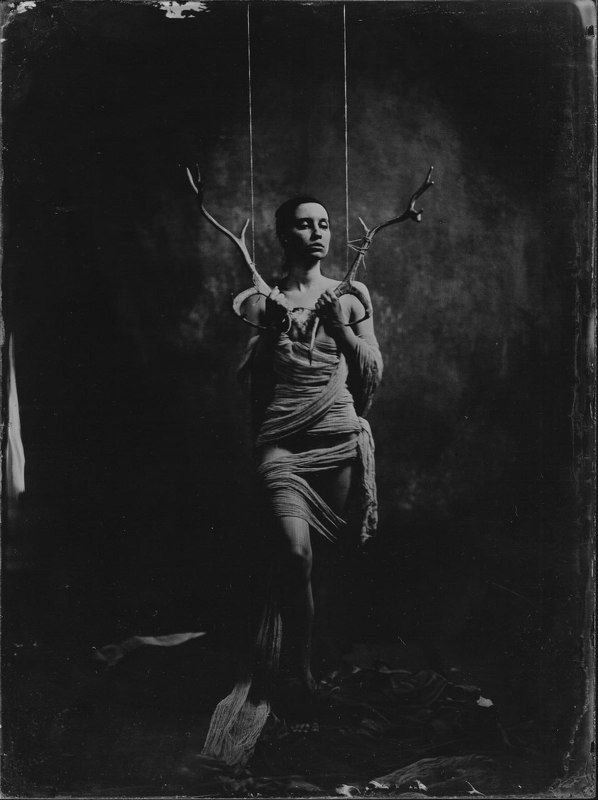 без названияphoto preview