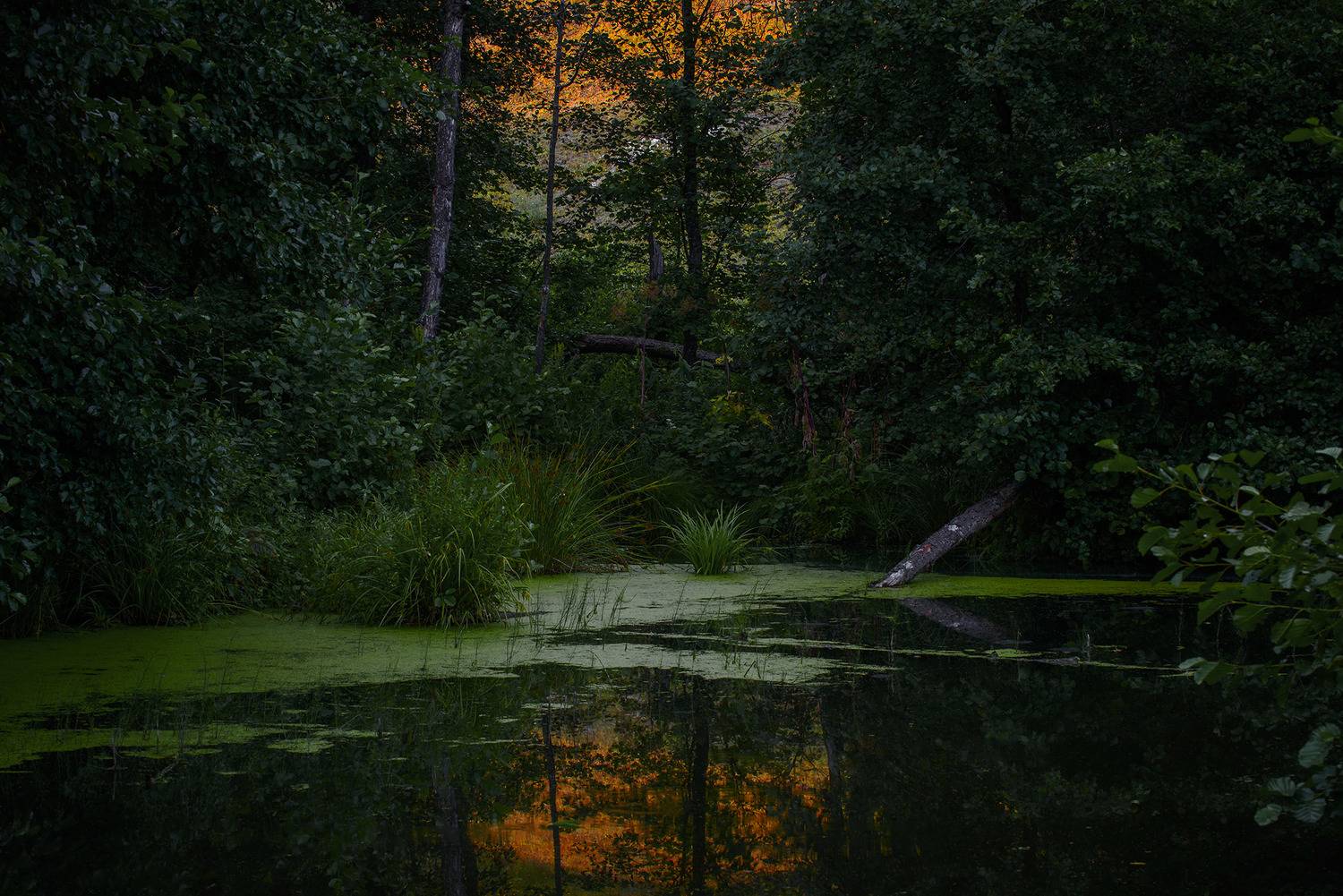 Предночье.... Автор: Владислав Никишин лето озеро закат ночь, Владислав Никишин
