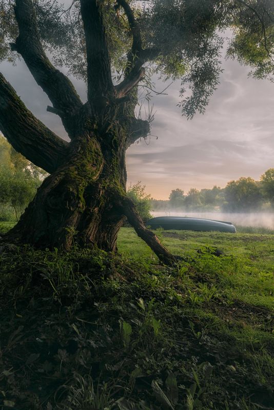 утренний пробужденияphoto preview
