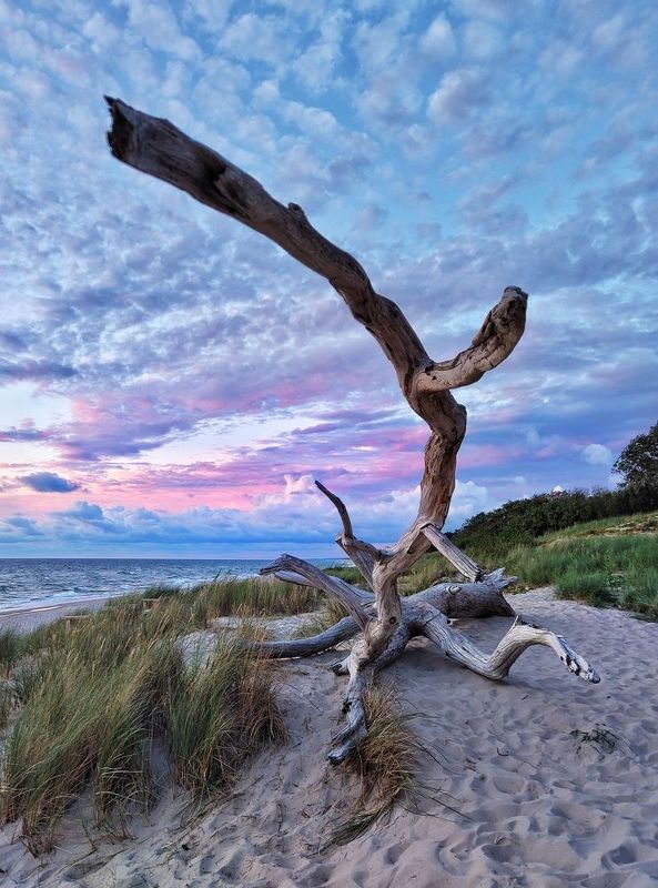 балтика,море,пейзаж,мобильное фото,закат  фото превью