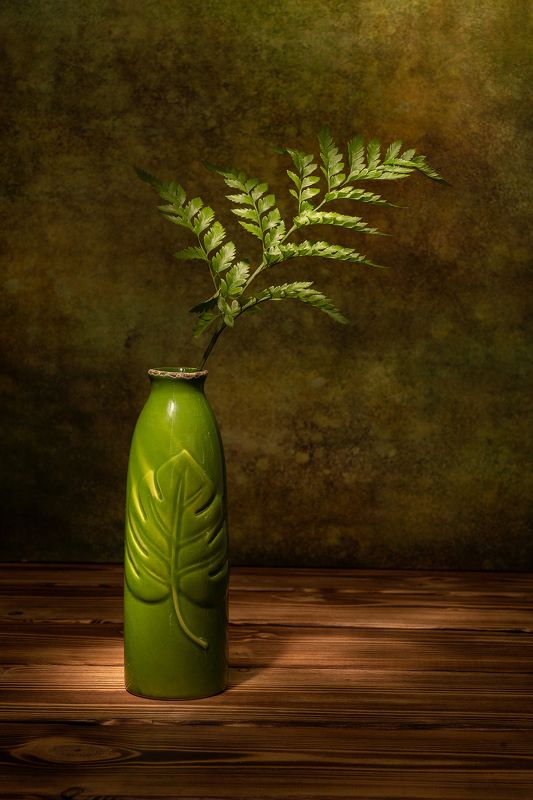 натюрморт, папортник, зеленый Папортникphoto preview