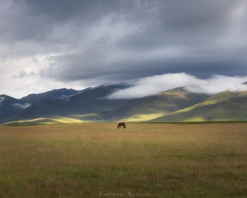 На рассвете после дождя...photo preview