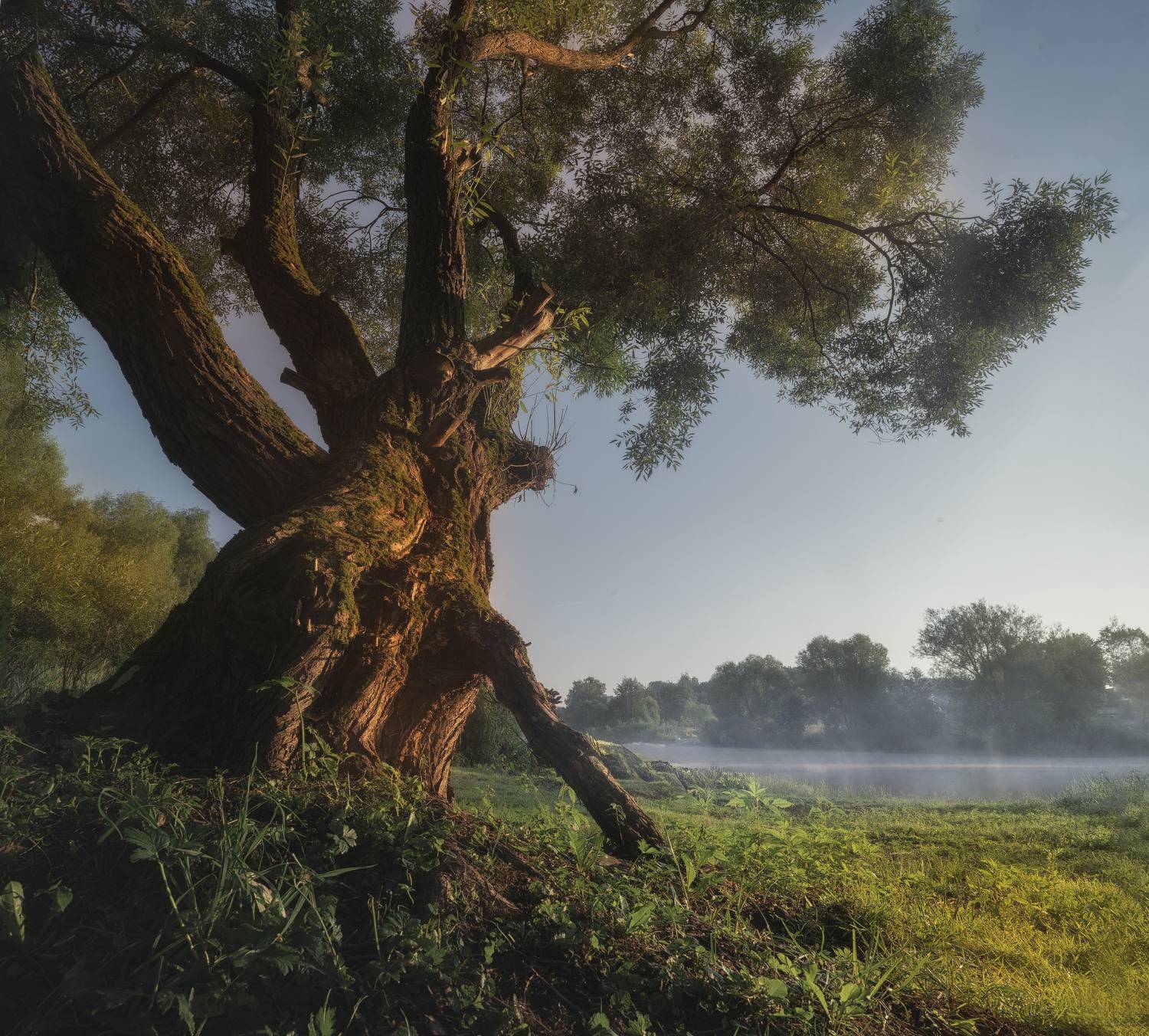 рассвет у реки. Автор: Silyavin Nikita , Silyavin Nikita