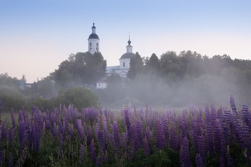 утро, туман, церковь, деревенский пейзаж, шерна Июньphoto preview