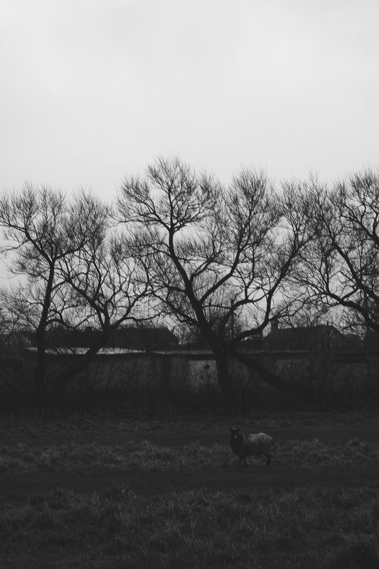 Городphoto preview