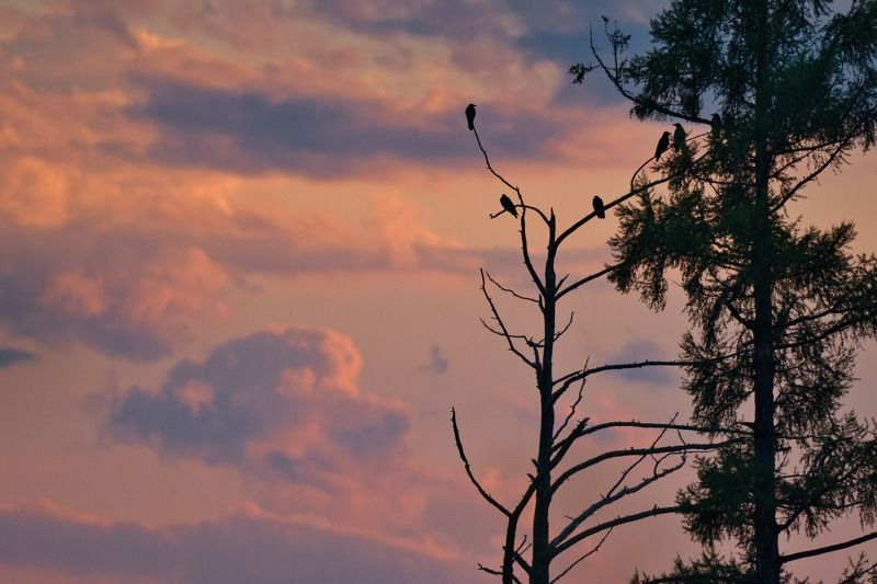 Закат на озере Халphoto preview
