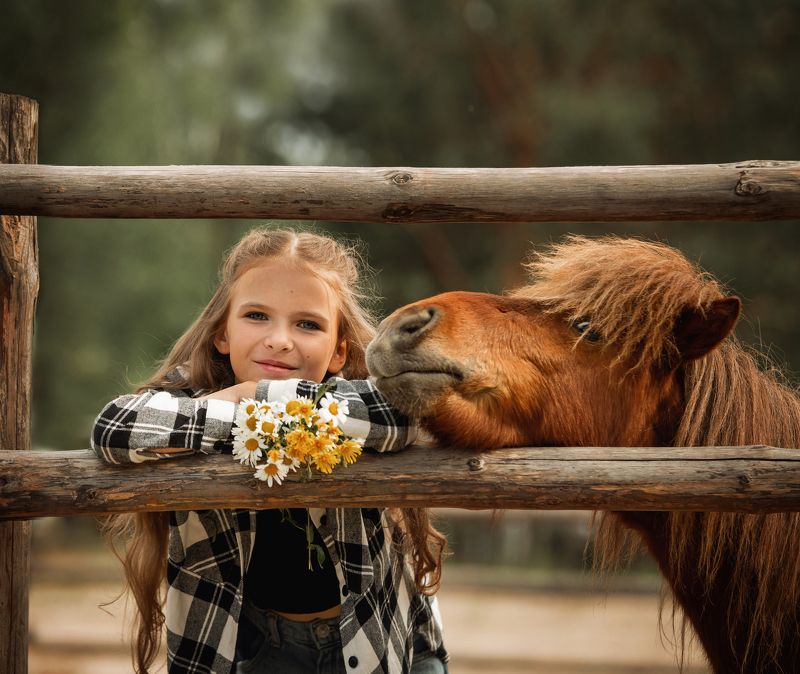 Ребёнок, лошадь, ромашки А что это вы тут делаете?photo preview