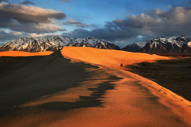 Песчаные дюны Забайкалья...photo preview