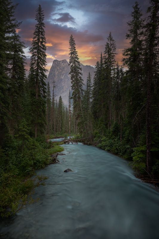 canada, rocky mountains, emerald lake, forest, river, mountain, Mount Burgessphoto preview