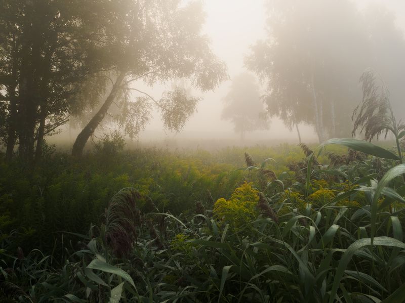 Беларусь, Природа, Пейзаж, Рассвет, Туман Той самы світанак родных краёўphoto preview