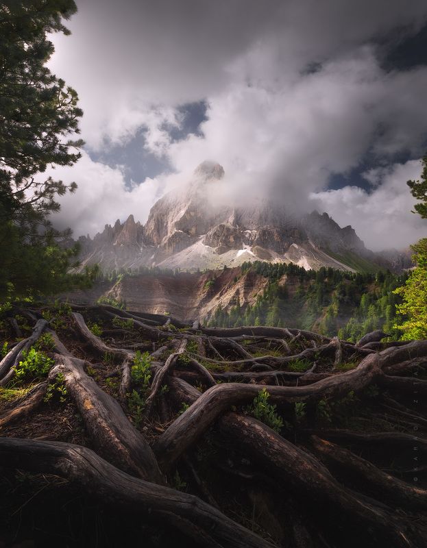dolomites, dolomiti, mountains, mountainscape, italy, italia, roots, clouds, landscape, sky, sun, trees, tree, nature Roots of lifephoto preview