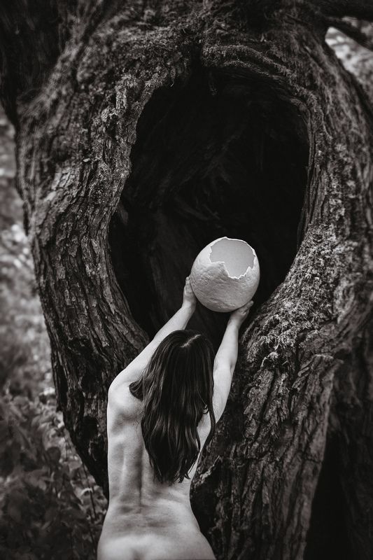 woman, forest, egg, shell Awakening(Shell)photo preview