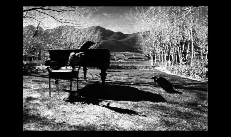 last dayphoto preview