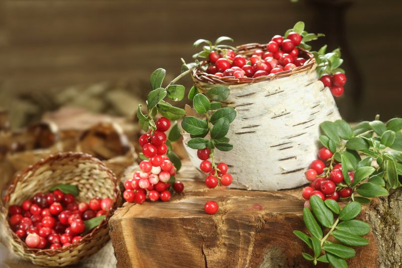 ягоды, брусника, пенек, туесок, лапти Поспела брусникаphoto preview