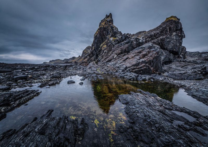 Рога носорогаphoto preview