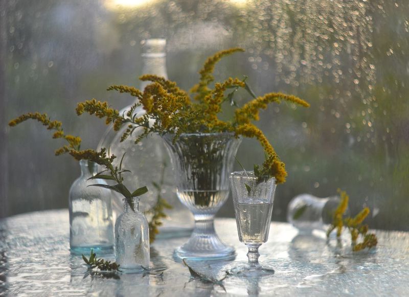 8 августа.photo preview