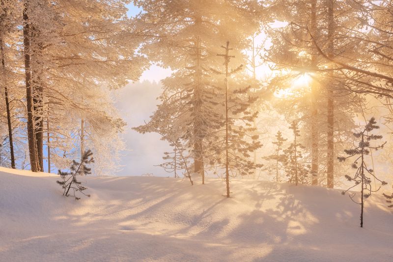 Колвица Морозное утро на Колвице...photo preview