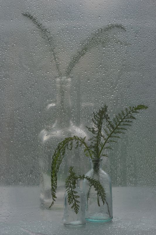 Пасмурное утро. 9 августа.photo preview